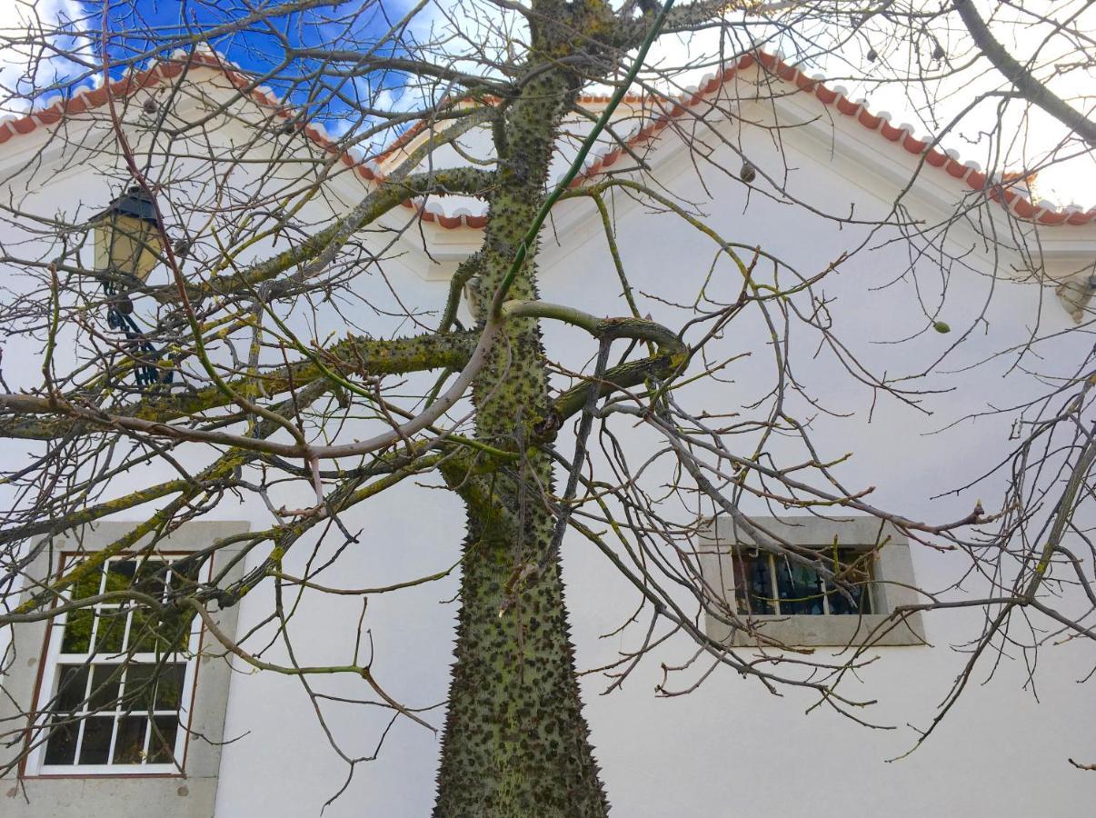 Ninho Salino Hotel Cascais Ngoại thất bức ảnh
